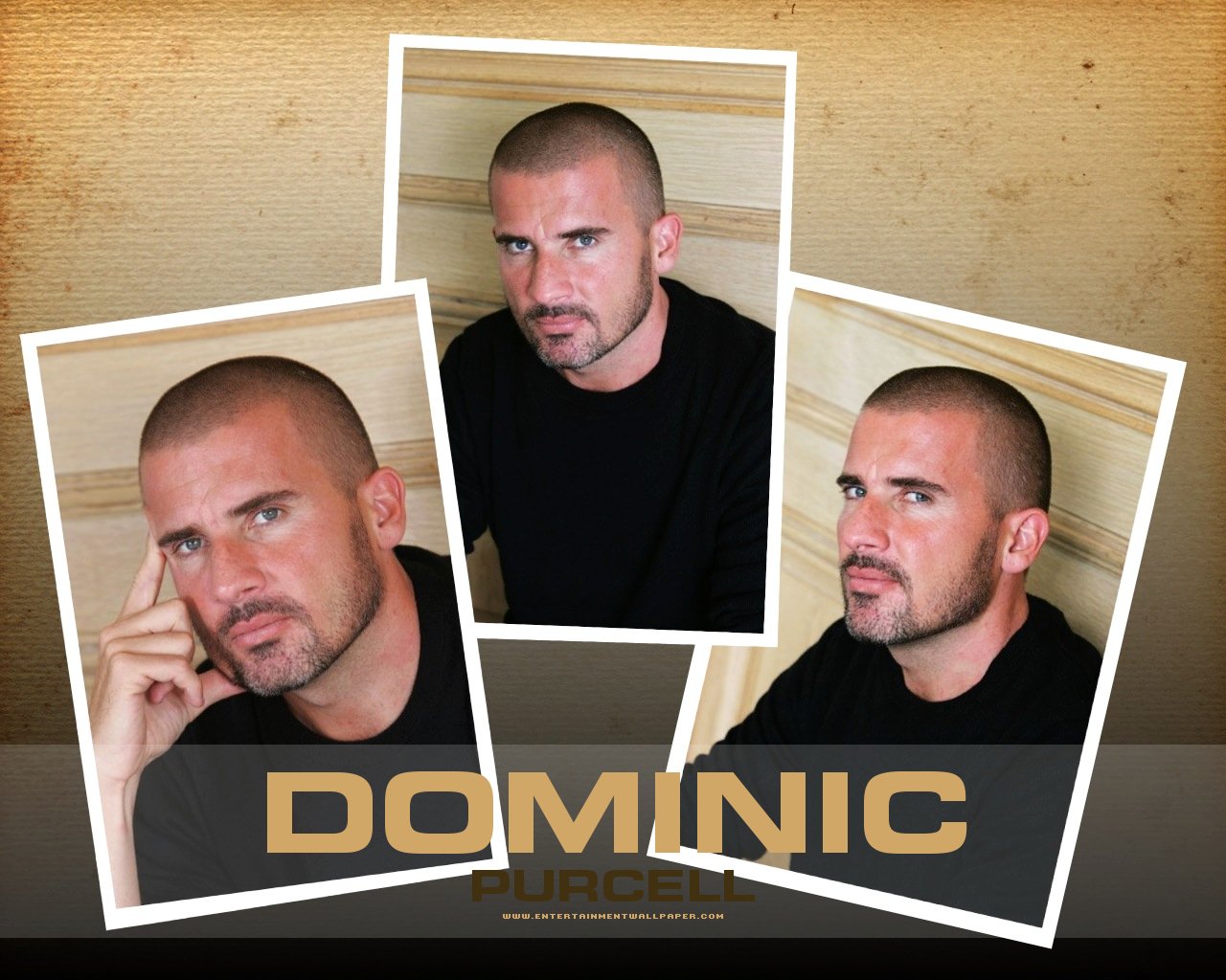 Imelda Mcconnell: dominic purcell background