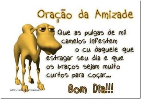 camelo
