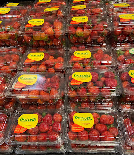 Driscoll's Berries strawberries