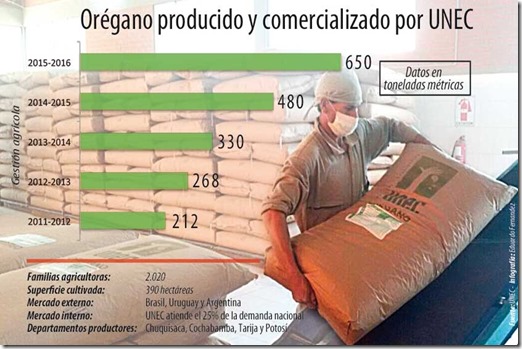 Bolivia, segundo exportador de orégano en Sudamérica