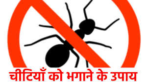 काली चींटी भगाने का उपाय KALI CHITI BHAGANE KE UPAY