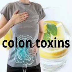 colon toxins.   6 types of drinks that help get rid of colon toxins, should be drunk every day