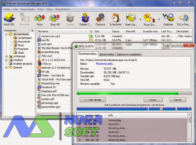 Screenshot Download Internet Download Manager Full version 