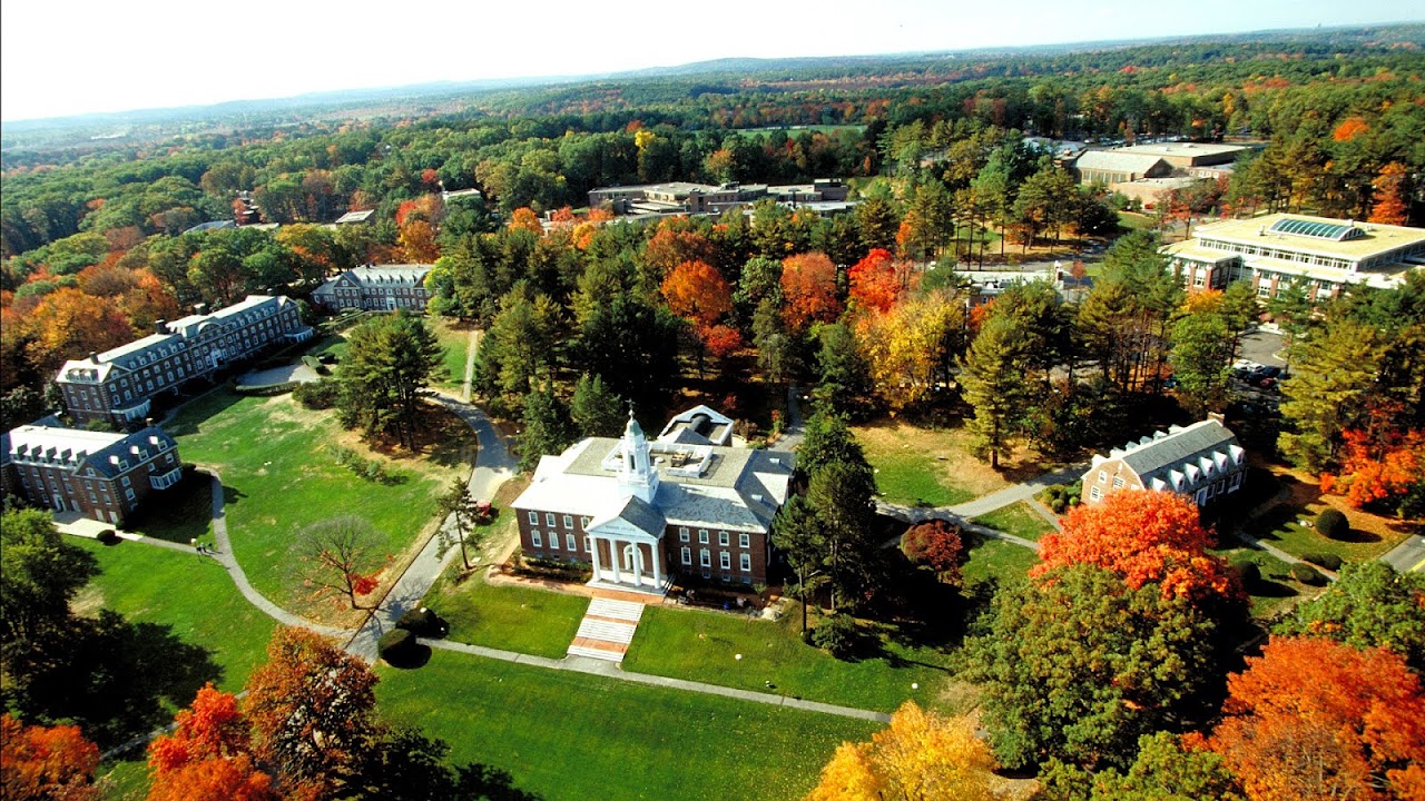 Babson College Mba Ranking