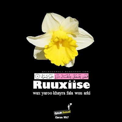 Ruuxiise wax yaroo khayra fala wuu arki | Quraanka 99:7