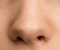 Nose myhealthbuild.co.vu