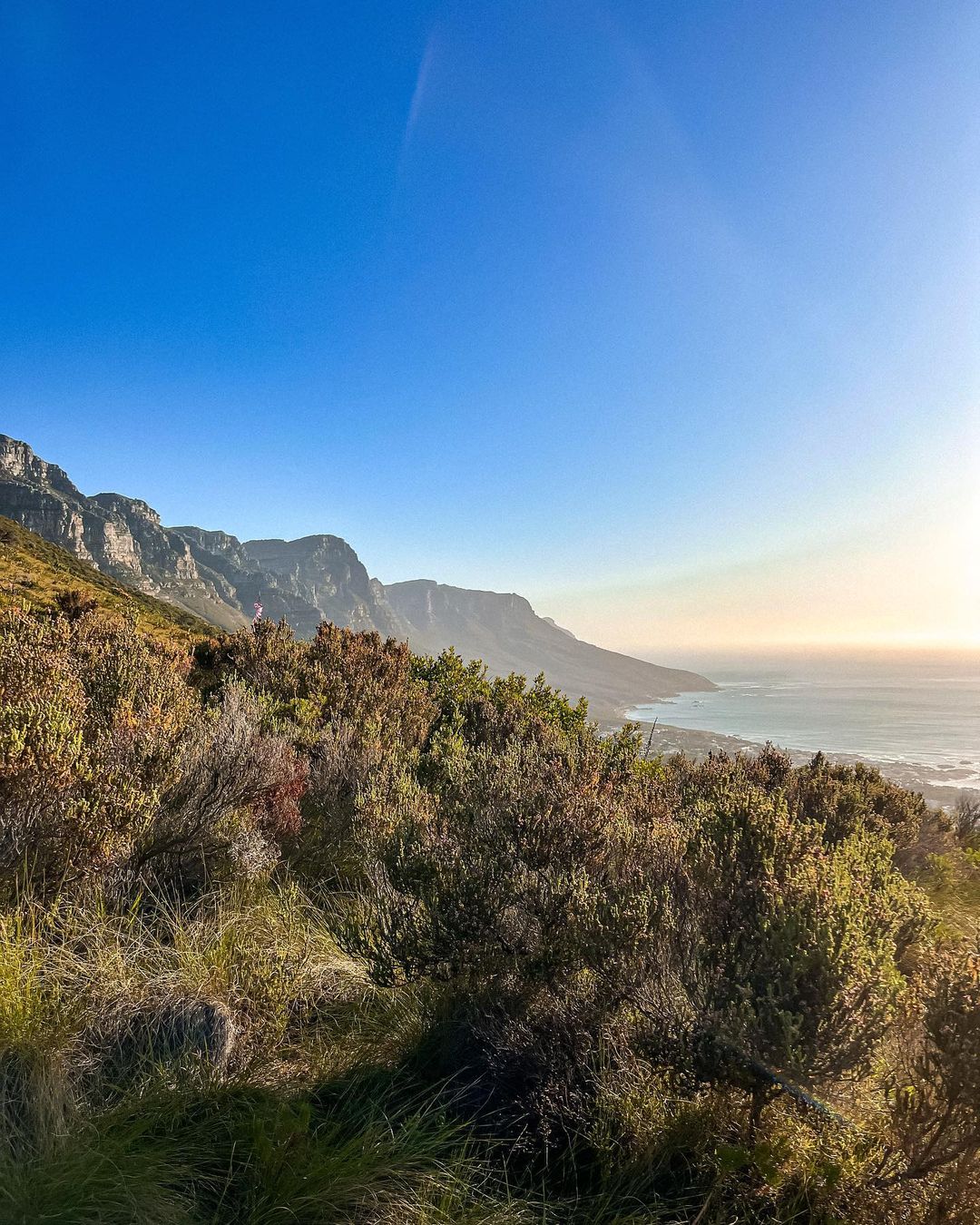 Lacherelle de ultieme reisgids voor Kaapstad Zuid-Afrika