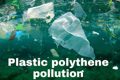 Plastic polythene pollution