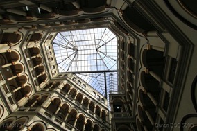 IMG_4906