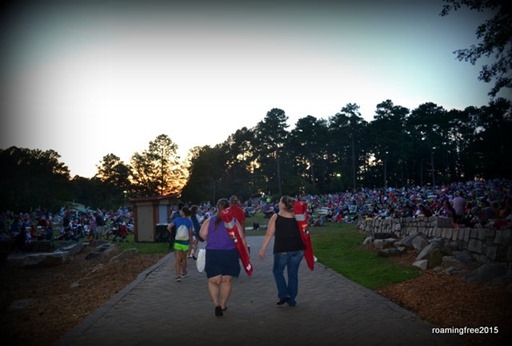 Lawn seating for the Laser Spectacular