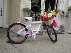 Just a Bike