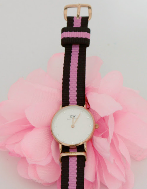 Daniel Wellington Reloj Classy Winchester