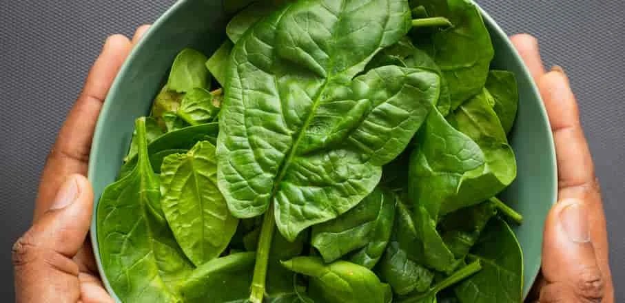 Spinach Spinach