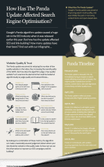 Infographie : Google Panda et SEO