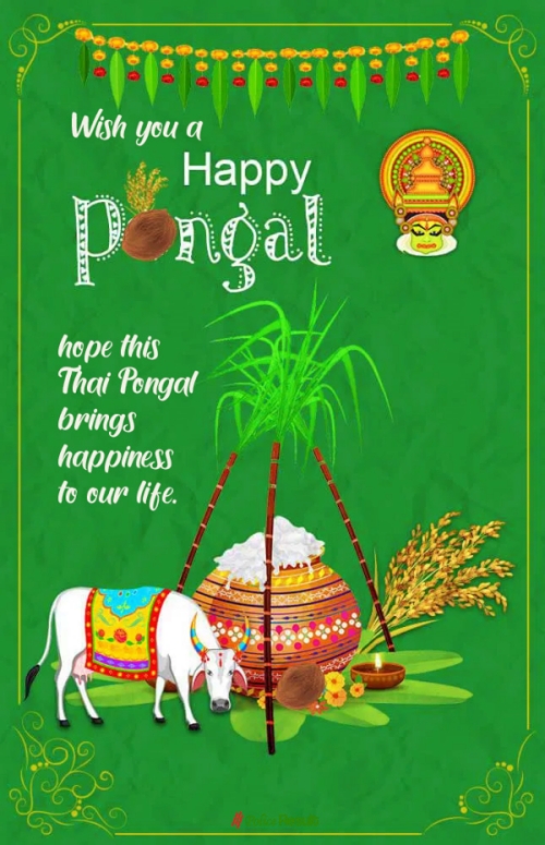 Pongal Quotes Wishes Messages Greetings பொங்கல் Quotes With Images