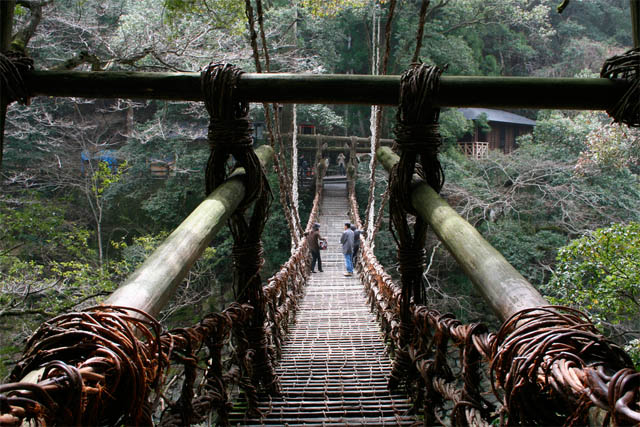 Jembatan Akar Terunik Di Dunia [ www.BlogApaAja.com ]