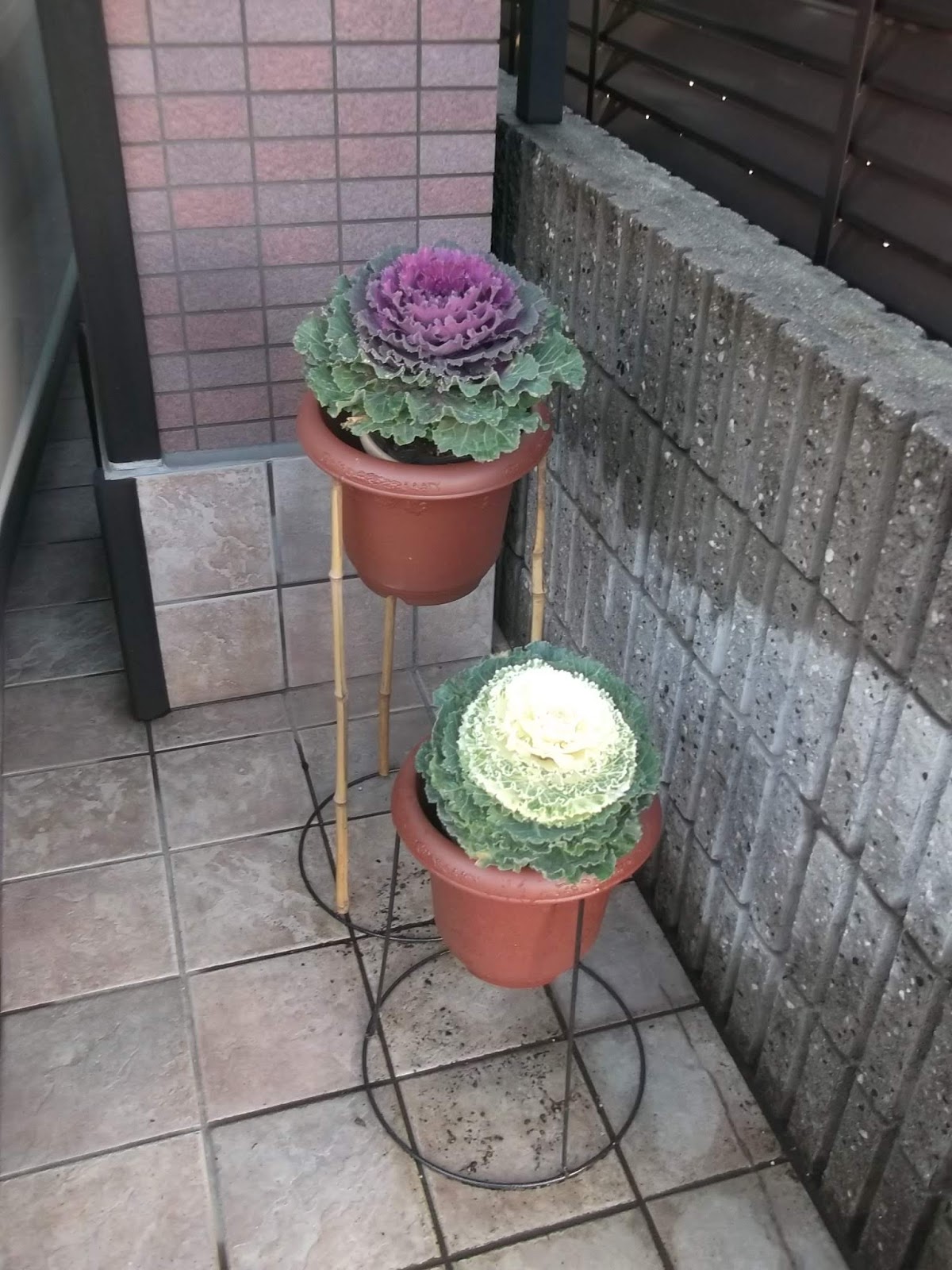 ダイソーのプランタースタンドをdiy ステージガーデニングあめぶろ版