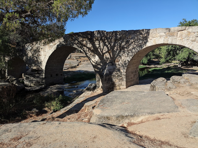 pinares-del-río-Cofio-en-valdemaqueda-en-bicicleta