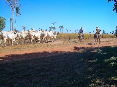 Ranchers in Mato Grosso