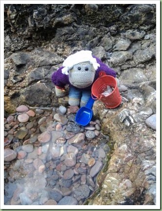 Rock pool in Brixham