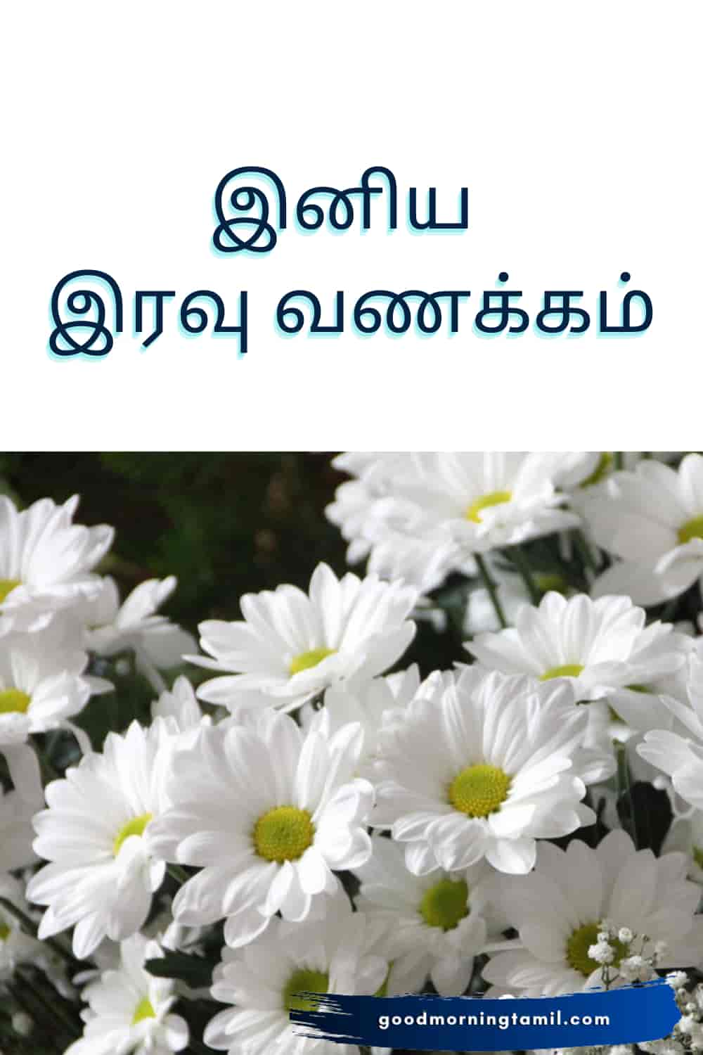 good night wishes in tamil good night messages [10]