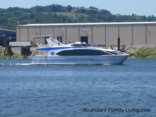 Tennessee Aquarium Boat Ride