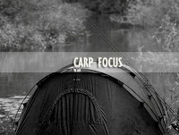 http://carp-focus.blogspot.com/