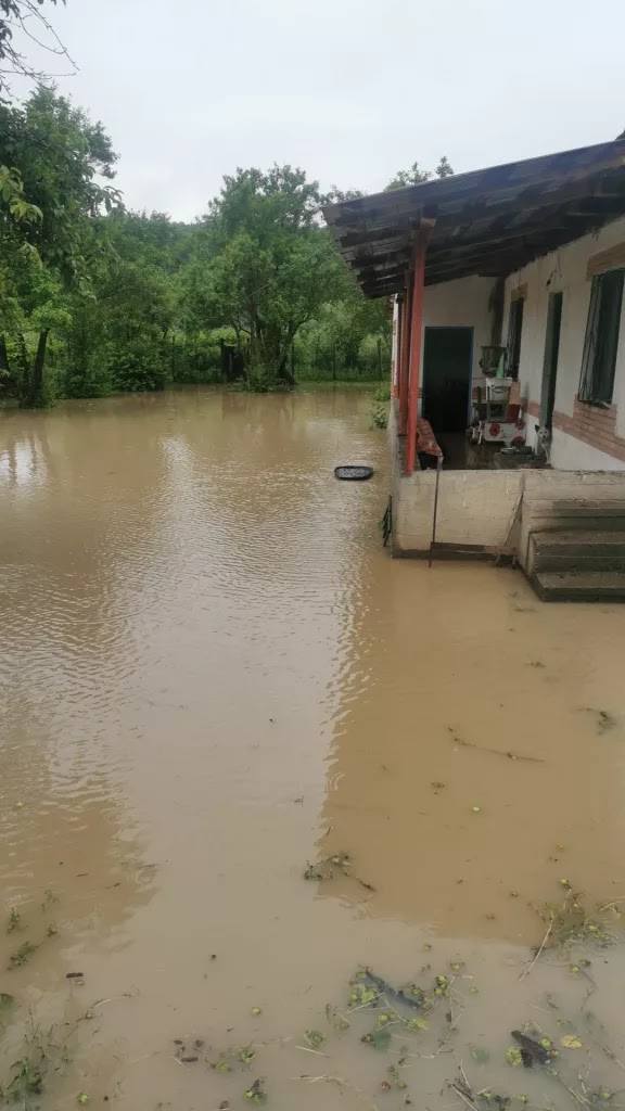Gospodării afectate de ploi în județul Dolj