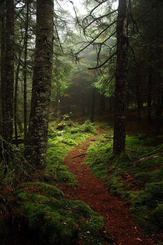 Fundy National Park