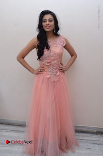 Actress Neha Hinge Stills in Pink Long Dress at Srivalli Teaser Launch  0145.JPG