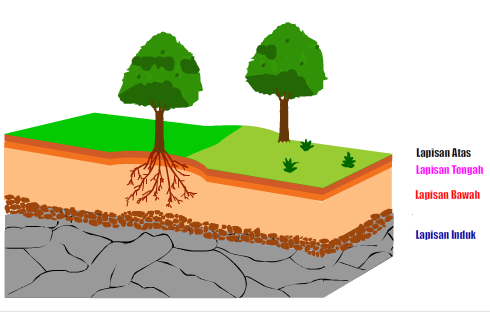 Animasi Lapisan Tanah  BLOG SAINS