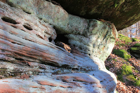 rocher vosges du nord