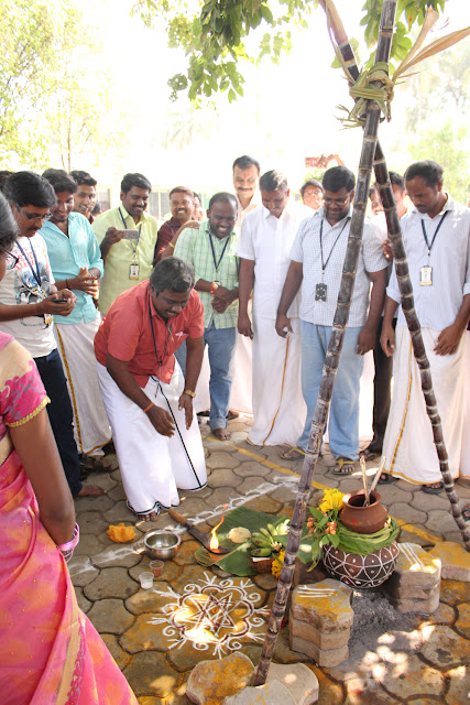 Pongal Celebration at VeeTechnologies Salem Office 2016 