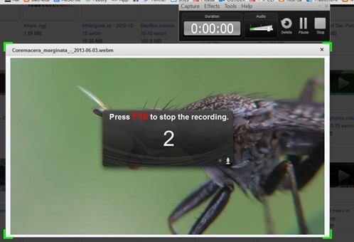 registrazione-video