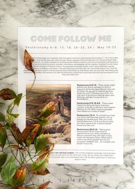 Come Follow Me printable May 16 with spring leaves