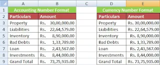 How to Use Accounting Number Format in Excel in Hindi