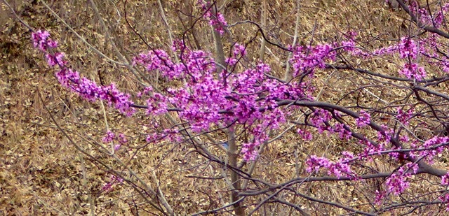 P1040296