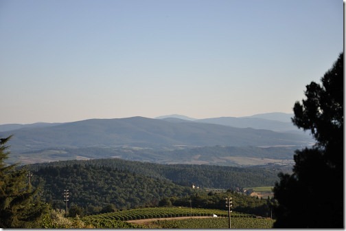 13 Florence 099