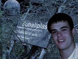 bubali-plas-joran