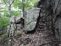 Abandoned White Path, Acadia