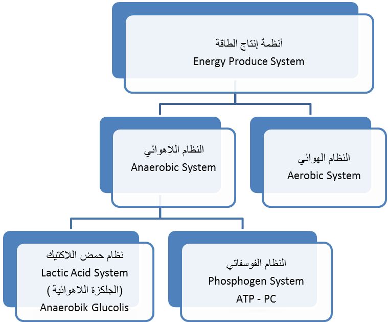 الأنظمة الطاقويةenergy Systems Staps Dz