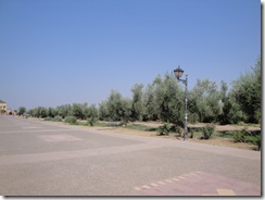 DSC04699