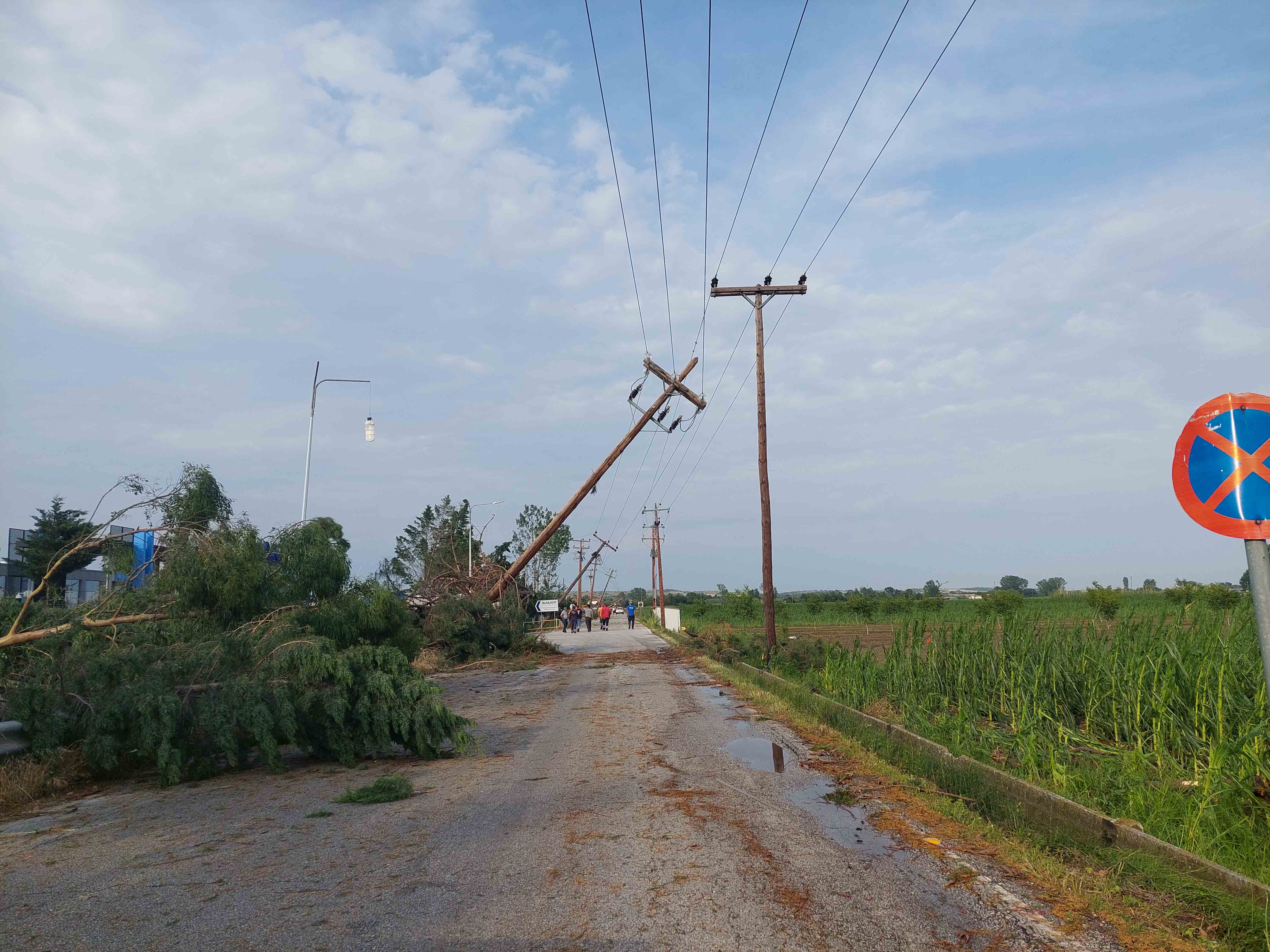 Ξάνθη: Καταστράφηκαν 50.000 στρέμματα - Ξηλώθηκαν δέντρα και κολώνες