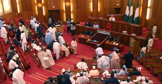 Senate in rowdy session over FG’s social intervention programme