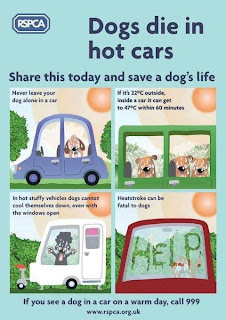 RSPCA Dogs die in hot cars Cornwall