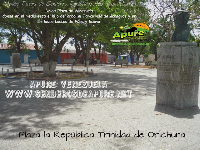 APURE: Plaza “La República” está en el medio el hijo del árbol el Tamarindo y lados bustos de Bolívar y Páez. HISTORIA.