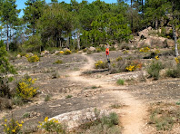 Planell de roca grisa ple de gatoses i argelagues ben florides