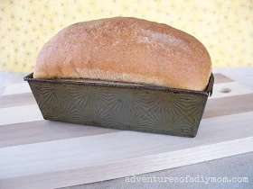 Best Homemade Wheat Bread Recipe