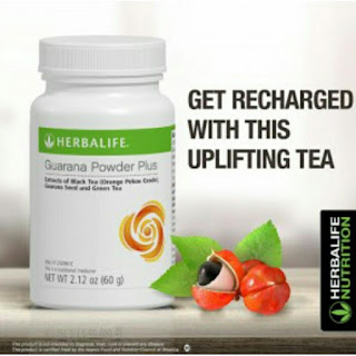 Herbalife Tea Mix,Herbal Aloe Concentrate dan Guarana Herbalife