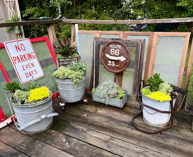Photo of July progress in deck junky succulent planters.